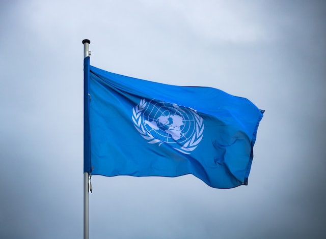 7 Highly Paying Environment and Natural Resources Jobs at the United Nations