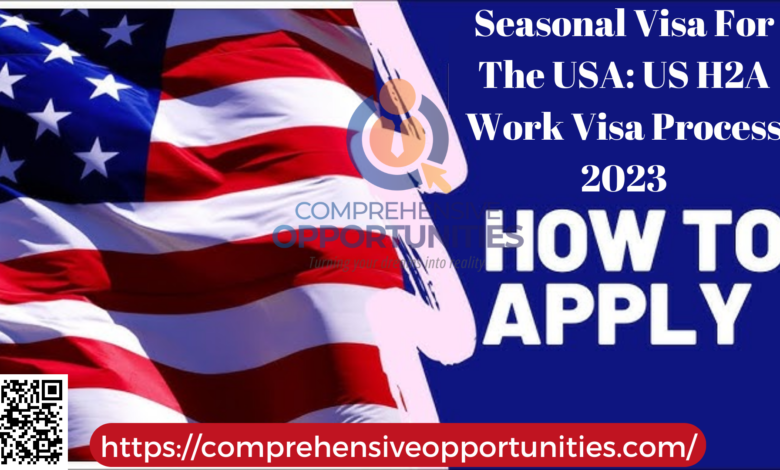 Seasonal Visa For The USA: US H2A Work Visa Process 2023