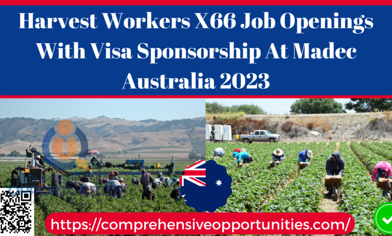 Harvest Workers X66 Job Openings With Visa Sponsorship At Madec Australia 2023