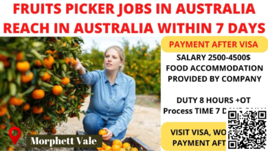 Join Our Fruit and Vegetable Picker, Packer & Delivery Driver Team in Adelaide, Australia($32 – $33 per hour)