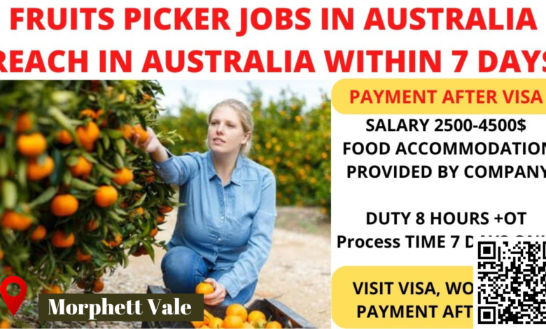 Join Our Fruit and Vegetable Picker, Packer & Delivery Driver Team in Adelaide, Australia($32 – $33 per hour)