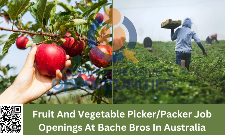 Fruit And Vegetable Picker/Packer Job Openings At Bache Bros In Australia 2023. Apply Now