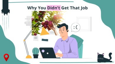 6 Reasons Why Your Fruit Picking Job Application Is Not Being Responded By Employers (Deeply Understand The 4th One)