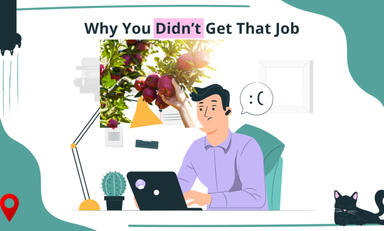 6 Reasons Why Your Fruit Picking Job Application Is Not Being Responded By Employers (Deeply Understand The 4th One)