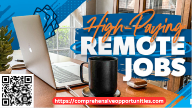 Apply At Any Of The High Paying 10 Companies Offering International Remote Job Placements For 2024!