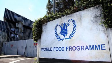 World Food Programme (WFP) is hiring a Communications Assistant APPLY NOW