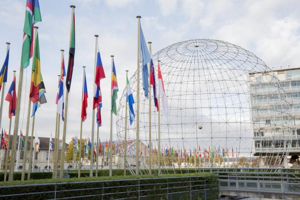 The United Nations Educational, Scientific and Cultural Organization (UNESCO) is hiring a Project Officer