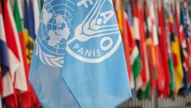 Food and Agriculture Organization(FAO) is hiring a Technical specialists in communication Apply Now