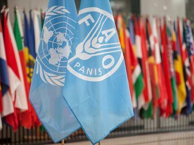 Food and Agriculture Organization(FAO) is hiring a Technical specialists in communication Apply Now