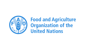 Food and Agriculture Organization (FAO) is seeking for a Director in Human Resources Division