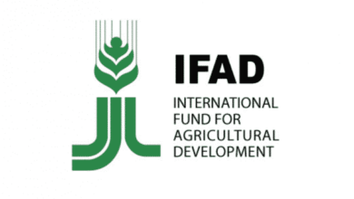 Management Jobs at the International Fund for Agricultural Development (IFAD)