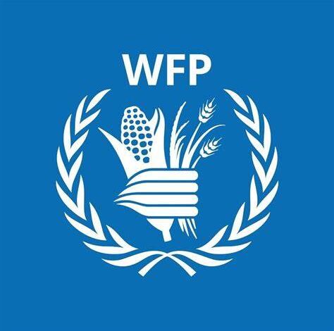 Unlock Global Opportunities: WFP Remote Jobs from Various Locations