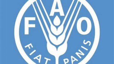 Remote Job Opportunities at FAO – Work from Anywhere!