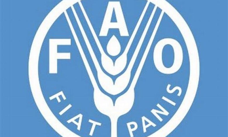 Remote Job Opportunities at FAO – Work from Anywhere!