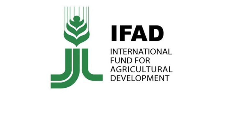 Internship Opportunities at the International Fund for Agricultural Development (IFAD) – Shape the Future of Agriculture and Rural Development