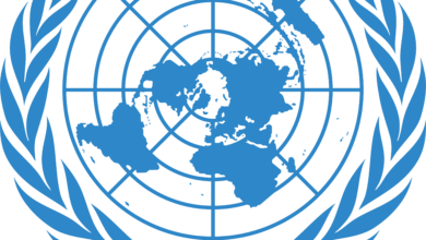Building a Better World: Management Jobs at UNDP Across Various Locations