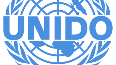 Remote job opportunities at UNIDO