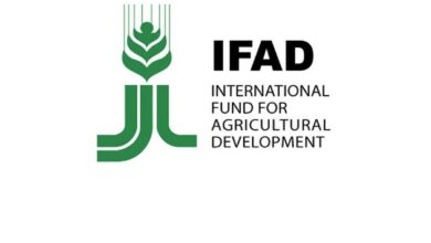 Exciting Assistant Job Opportunities at the International Fund for Agricultural Development (IFAD)