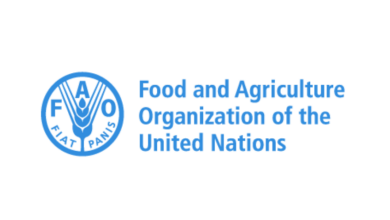 FAO remote jobs