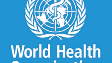 Remote Job Opportunities at the World Health Organization (WHO) – Work from Anywhere!