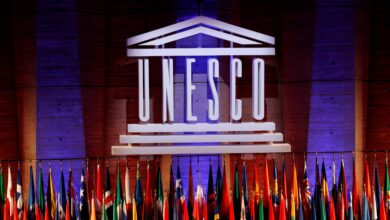 Shape the Future of Global Education & Culture: Consultancies at UNESCO 📖