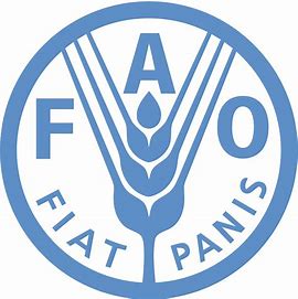 # **FAO Consultancy Opportunities: Make an Impact in Global Food Security**