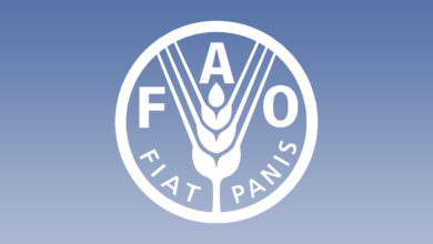 **Join FAO & Fight Hunger: Exciting Assistant Job Opportunities Await!** 🌍🌱