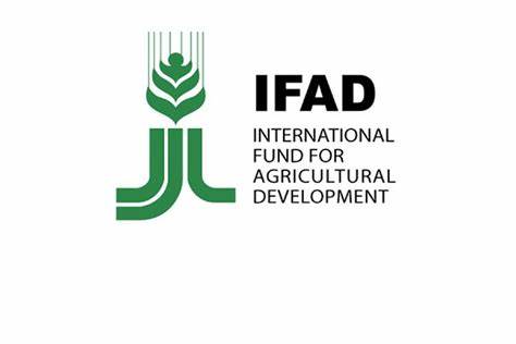 Kickstart Your Career: Internship Opportunities at IFAD! 🌍📈