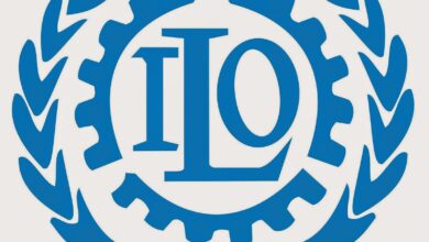 Shape the Future of Work: Program Associate Jobs at ILO