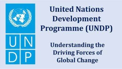 Shape the Future of Global Development: Consultancy Opportunities at UNDP! 🌍💼✨