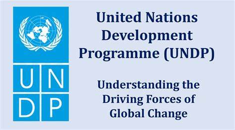 Shape the Future of Global Development: Consultancy Opportunities at UNDP! 🌍💼✨