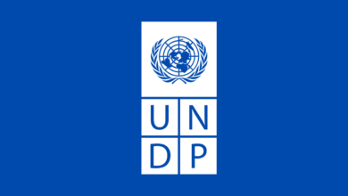 Remote Job Opportunities at the United Nations Development Programme (UNDP)