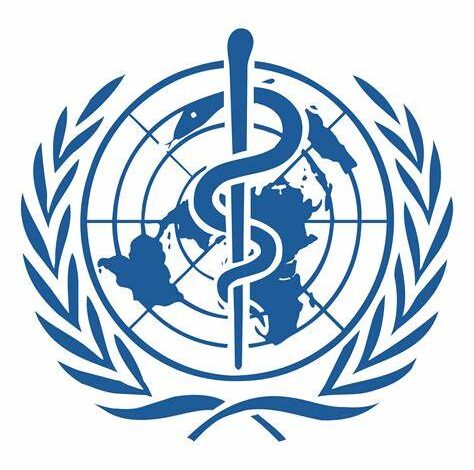 Kickstart Your Global Health Career: Internships at WHO!