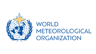 Work from Anywhere: Remote Jobs at the World Meteorological Organization (WMO)!