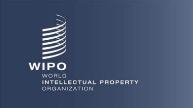Shape the Future of Innovation: Consultancy Opportunities at WIPO