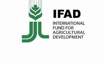 Management Jobs at IFAD: Lead Global Agricultural Development