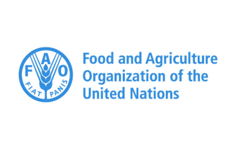 Consultancy Opportunities at the Food and Agriculture Organization (FAO)