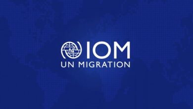 Shape Global Migration Policy: Consultancy Opportunities at the International Organization for Migration (IOM)