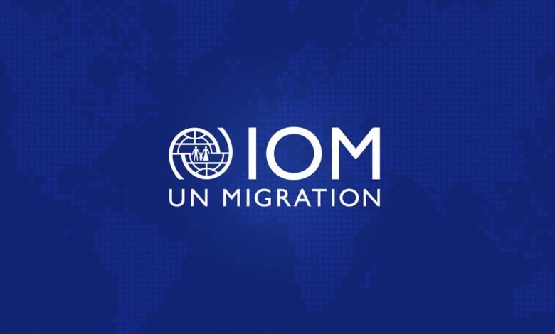 Shape Global Migration Policy: Consultancy Opportunities at the International Organization for Migration (IOM)