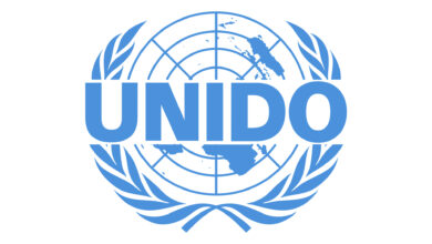UNIDO Internships: Gain Experience in Industrial Development