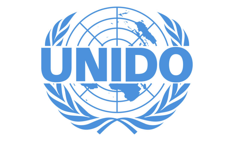 UNIDO Internships: Gain Experience in Industrial Development